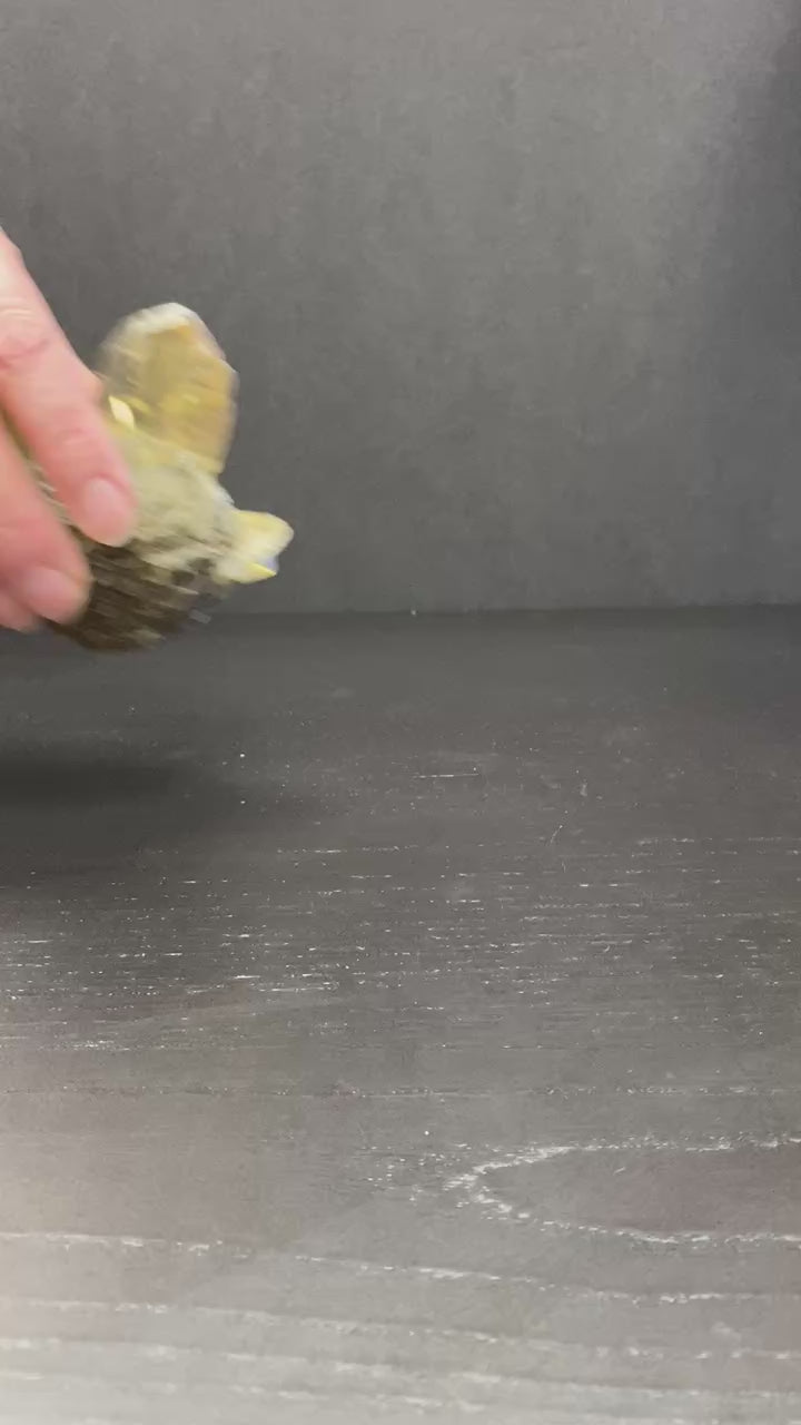 Square Pillows - 7 x 7 in